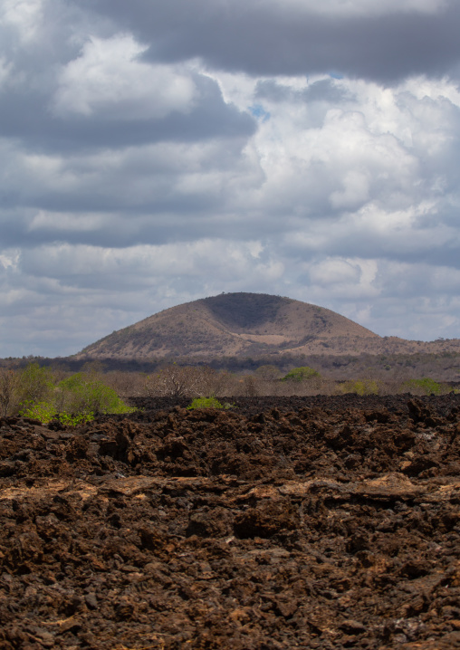 Shetani lava flow landscape, Coast Province, Tsavo West National Park, Kenya