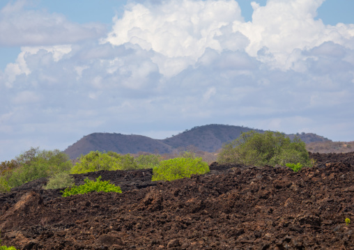 Shetani lava flow landscape, Coast Province, Tsavo West National Park, Kenya