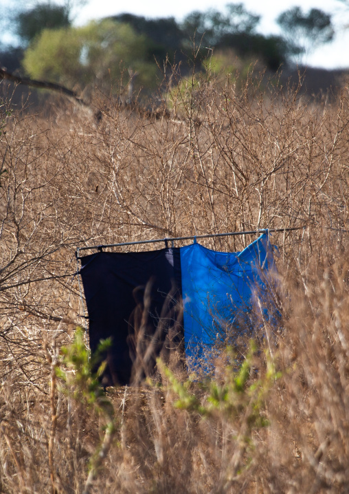 Trap for tse tse flies, Coast Province, Tsavo West National Park, Kenya