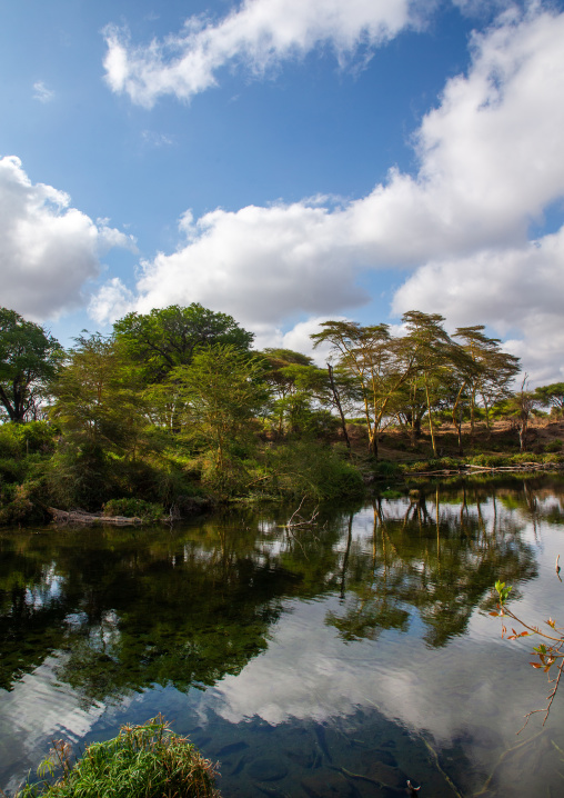 Mzima springs, Coast Province, Tsavo West National Park, Kenya