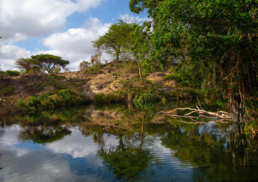 Mzima springs, Coast Province, Tsavo West National Park, Kenya