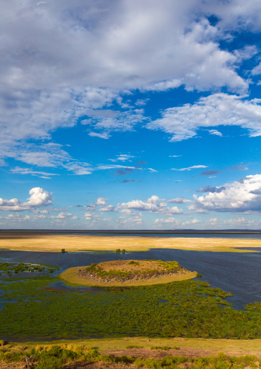 Swamp landscape, Kajiado County, Amboseli, Kenya