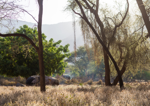 Samburu village in front of the mountain, Marsabit District, Ngurunit, Kenya