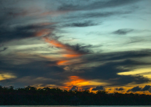 Mangrove at sunset, Lamu County, Lamu, Kenya