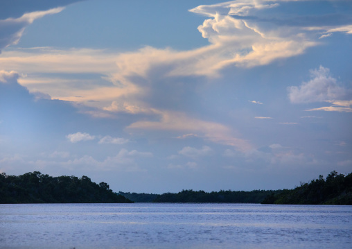 Mangrove landscape, Lamu County, Lamu, Kenya
