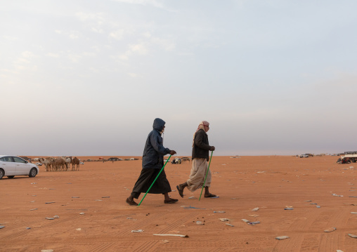 King Abdul Aziz Camel Festival, Riyadh Province, Rimah, Saudi Arabia
