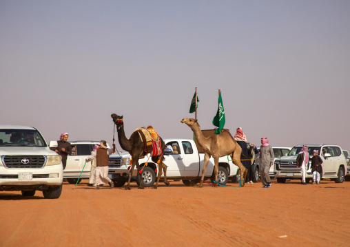 Saudi men following camels with their cars during King Abdul Aziz Camel Festival, Riyadh Province, Rimah, Saudi Arabia