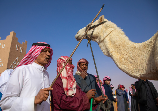 Beauty contest in King Abdul Aziz Camel Festival, Riyadh Province, Rimah, Saudi Arabia