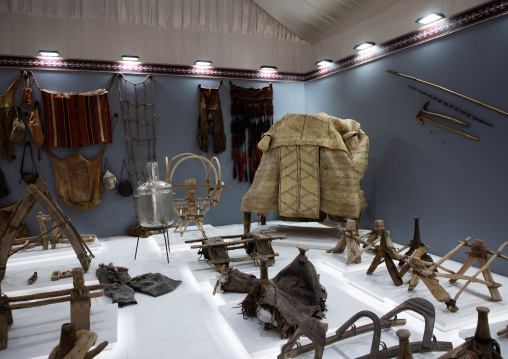 King Abdul Aziz Camel Festival, Riyadh Province, Rimah, Saudi Arabia