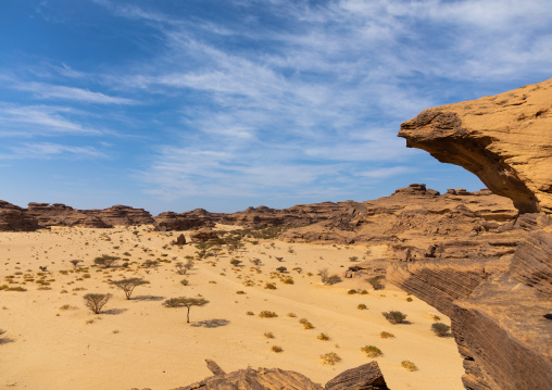 Dry landscape in the desert, Najran Province, Thar, Saudi Arabia