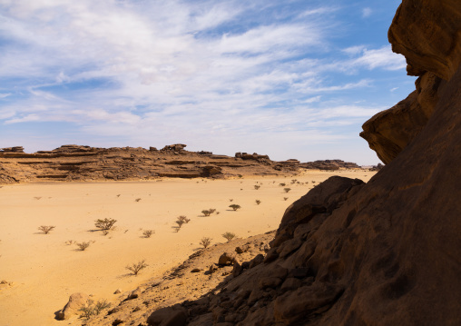 Dry landscape in the desert, Najran Province, Thar, Saudi Arabia