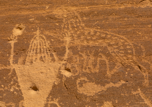 Petroglyphs on a rock depicting Aliya the goddess of fertility, Najran Province, Thar, Saudi Arabia
