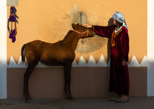Tourist with an arabian foal in Alhazm stud, Najran Province, Khubash, Saudi Arabia