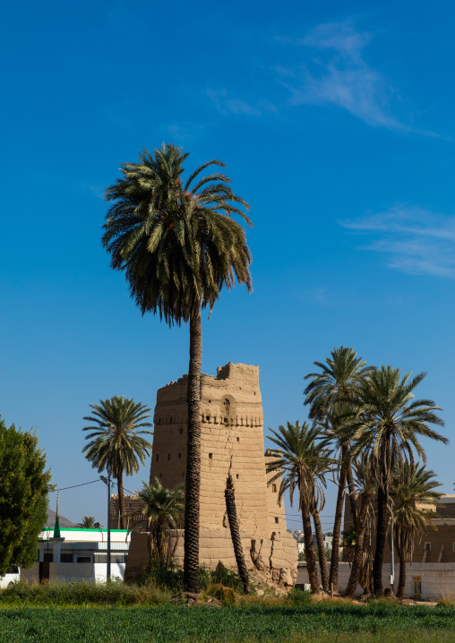 Traditional old mud house in the oasis, Najran Province, Najran, Saudi Arabia