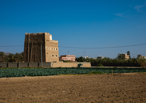 Traditional old mud house with its farm, Najran Province, Najran, Saudi Arabia