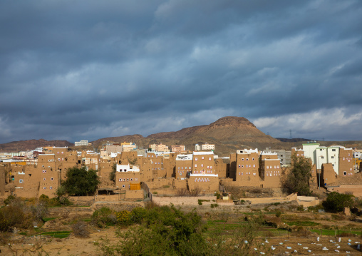 Old village with traditional mud houses and gardens, Asir province, Dhahran Al Janub, Saudi Arabia