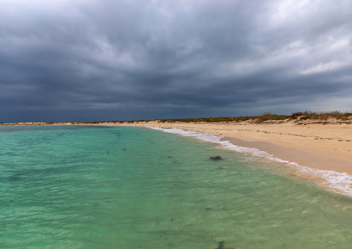Green sea, Jazan Province, Farasan, Saudi Arabia
