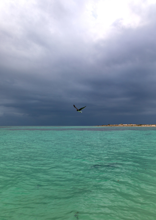 Green sea, Jazan Province, Farasan, Saudi Arabia