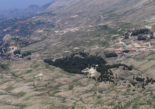 A forest of cedars seen from above, North Governorate, Daher el Kadib, Lebanon