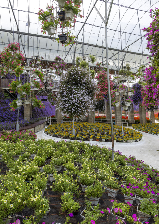 Greenhouse in Cameron Floral Park, Pahang, Cameron Highlands, Malaysia