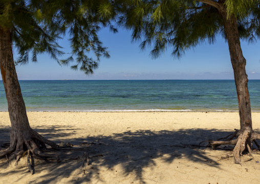 Empty beach, Nampula Province, Island of Mozambique, Mozambique