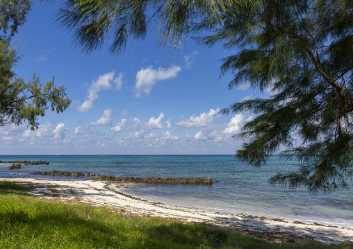 White sand beach, Nampula Province, Island of Mozambique, Mozambique