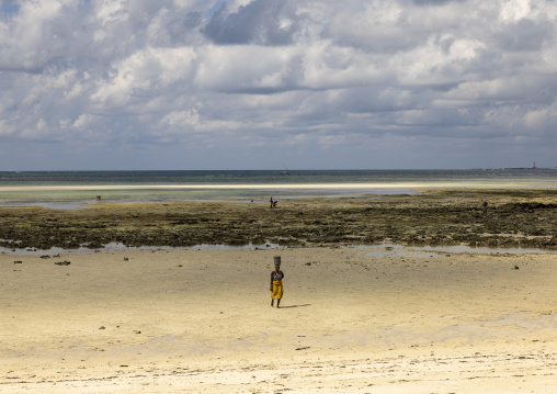 Woman coming back from collecting shells at low tide, Nampula Province, Island of Mozambique, Mozambique