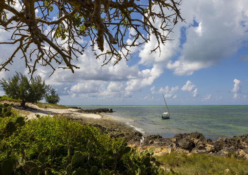 Dhow in a bay, Nampula Province, Island of Mozambique, Mozambique