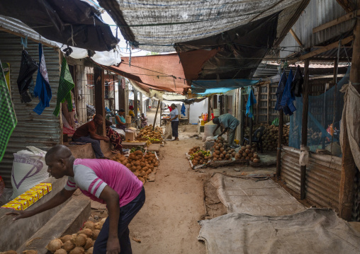 Coconuts seller in the market, Inhambane Province, Vilankulo, Mozambique