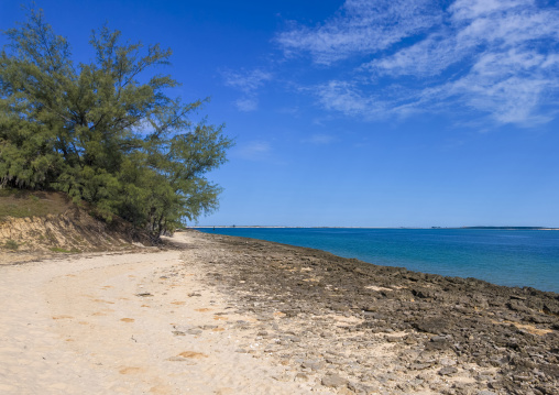 Beach on Bazaruto island, Bazaruto archipelago, Bazaruto island, Mozambique