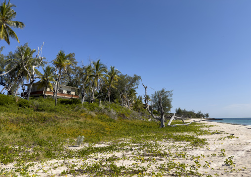 White sand beach, Bazaruto archipelago, Santa Carolina island, Mozambique