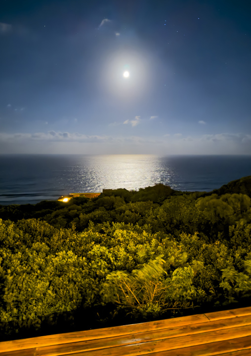 Reserva Dunas Verdes, Inhambane Province, Praia da Rocha, Mozambique