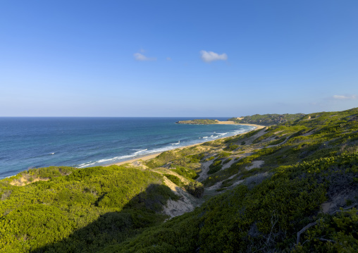 Sand dunes, Inhambane Province, Praia da Rocha, Mozambique