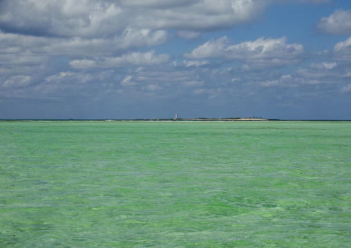 Green water, Nampula Province, Island of Mozambique, Mozambique