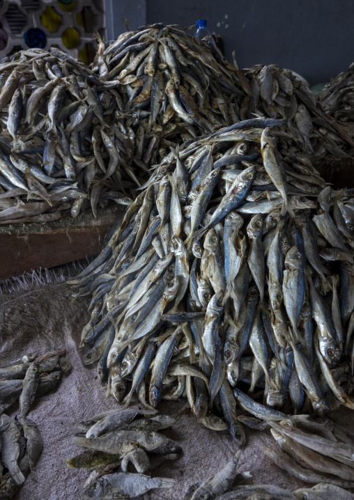 Dried fishes for sale in the market, Inhambane Province, Vilankulo, Mozambique