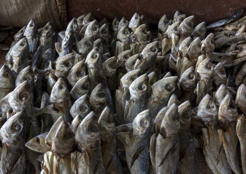 Dried fishes for sale in the market, Inhambane Province, Vilankulo, Mozambique