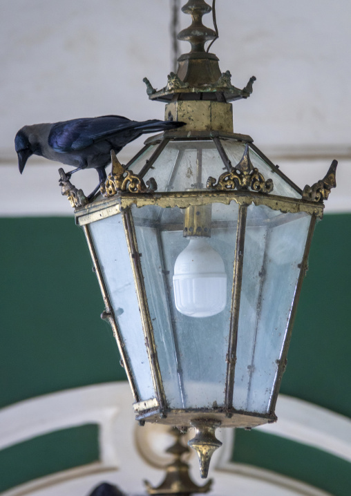Crow on a Railway Station old lamp, Maputo Province, Maputo, Mozambique
