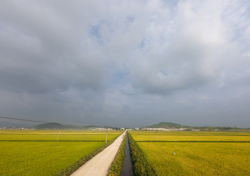 Rural road in the countryside, Kangwon, Chonsam Cooperative Farm, North Korea