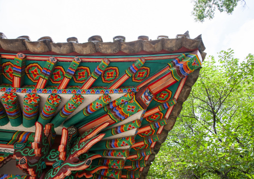 Buddhist temple roof, DGC, Pyongyang, North Korea