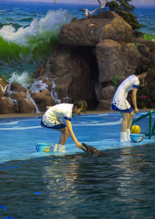 Dolphin show in Rungna dolphinarium, DGC, Pyongyang, North Korea