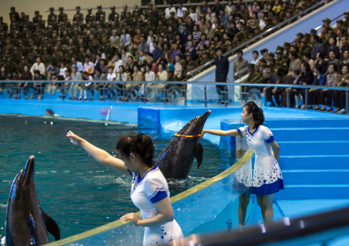 Dolphin show in Rungna dolphinarium, DGC, Pyongyang, North Korea