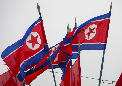 North Korean flags, DGC, Pyongyang, North Korea