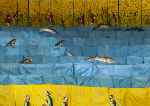 Fake fishes jumping during Arirang mass games, DGC, Pyongyang, North Korea