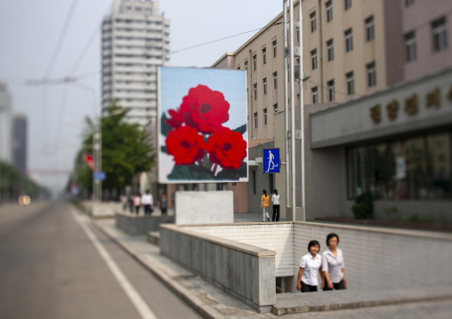 North Korean propaganda billboard in the street with Kimilsungia flowers, DGC, Pyongyang, North Korea