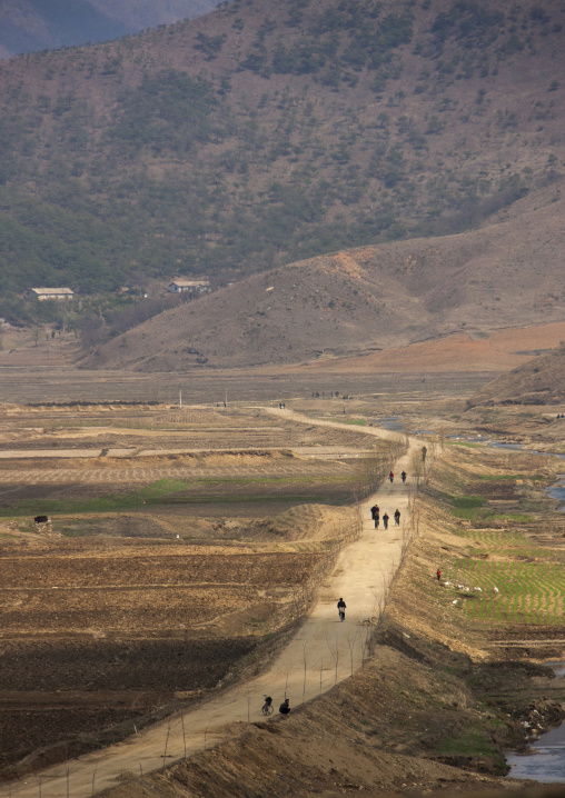 North korean people riding bicycles in the countryside, DGC, Pyongyang, North Korea