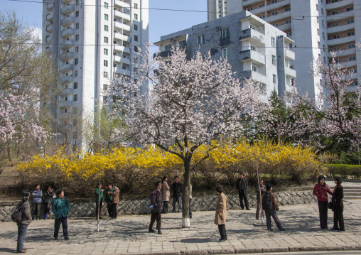 North Korean people waiting for a bus in the street, DGC, Pyongyang, North Korea
