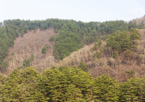 Rock formations landscape, North Hamgyong, Chilbosan, North Korea