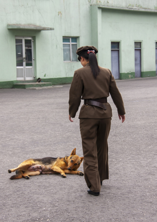 North Korean soldier woman playing with a German shepherd dog, DGC, Pyongyang, North Korea