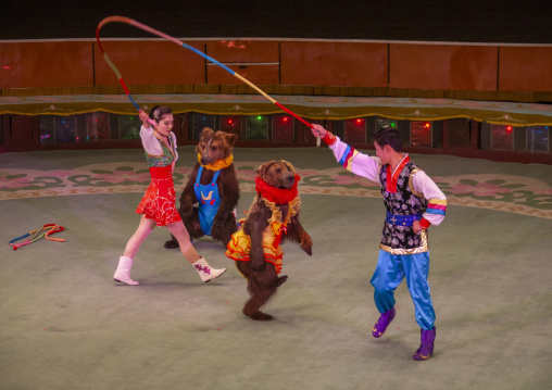 Performing bear in a circus, DGC, Pyongyang, North Korea
