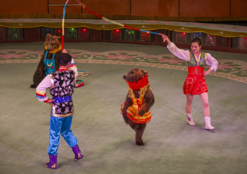 Performing bear in a circus, DGC, Pyongyang, North Korea